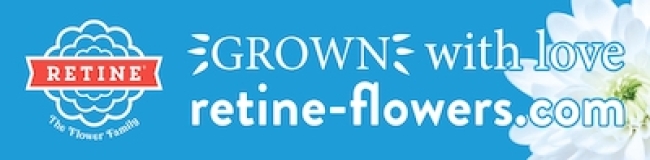 Retine The Flowers Family